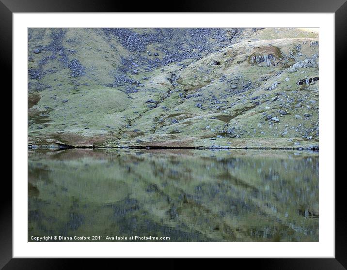 Reflections, Levers Water, The Lakes Framed Mounted Print by DEE- Diana Cosford