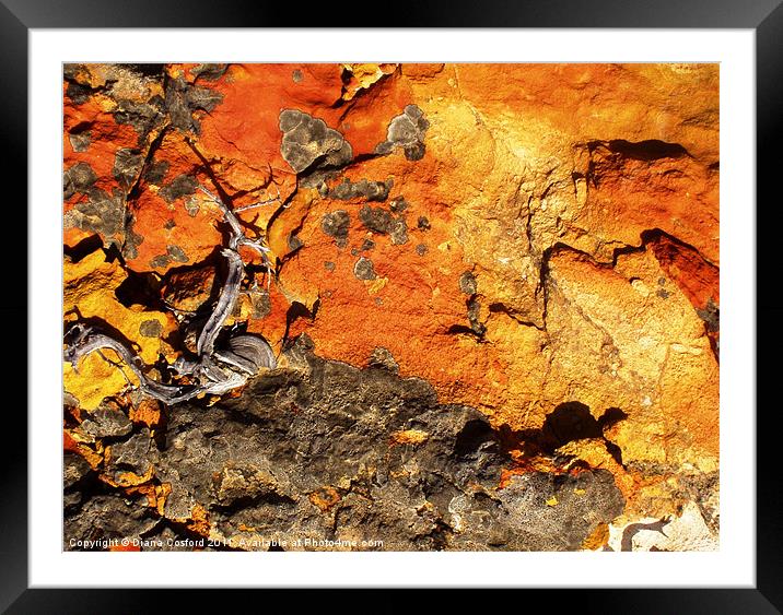 Earth, rock and roots, Greece Framed Mounted Print by DEE- Diana Cosford
