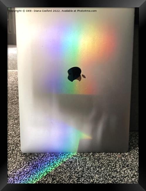 Rainbow APPLE  Framed Print by DEE- Diana Cosford