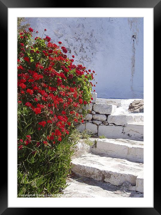 Kastro walk, Milos Framed Mounted Print by DEE- Diana Cosford