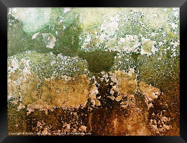 Textures of a living wall Framed Print by DEE- Diana Cosford
