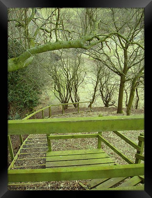 Green Stairway Framed Print by DEE- Diana Cosford