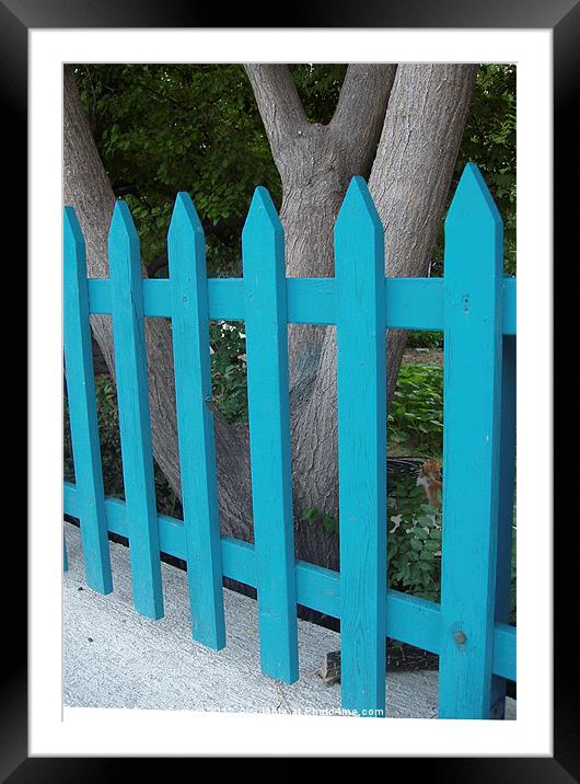 Blue fence against grey bark. Framed Mounted Print by DEE- Diana Cosford
