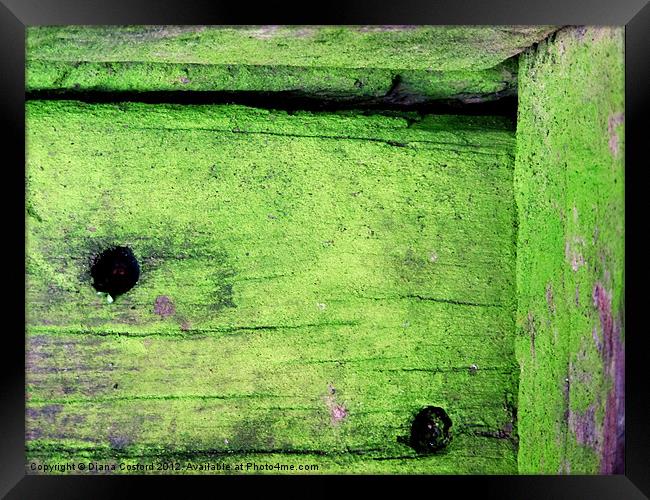 Mossy timber Framed Print by DEE- Diana Cosford