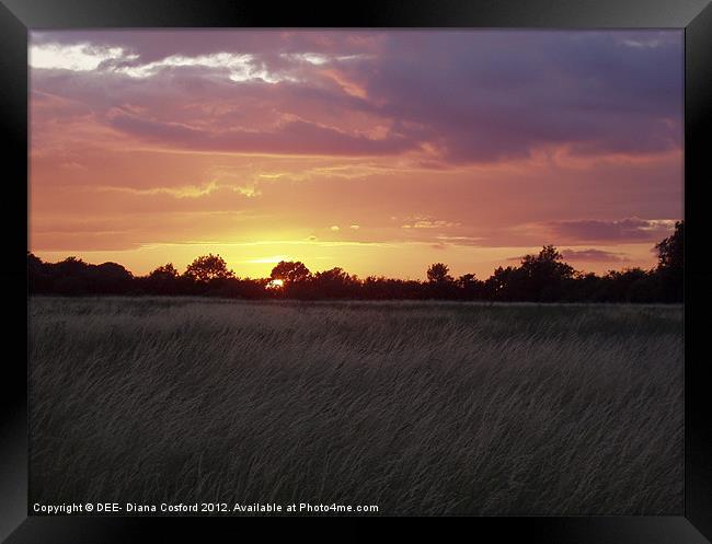 Sunset, Cranfield Airport Framed Print by DEE- Diana Cosford