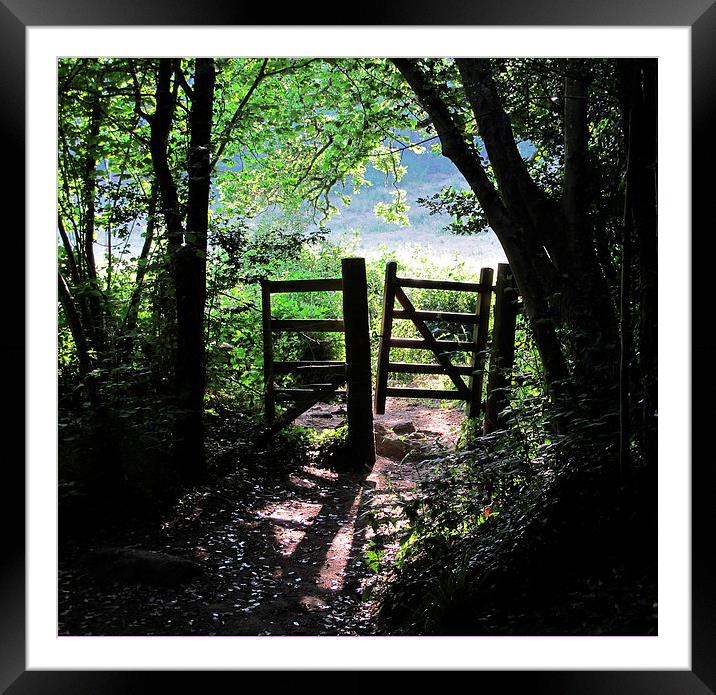 Footpath gateway Dartmoor Framed Mounted Print by DEE- Diana Cosford