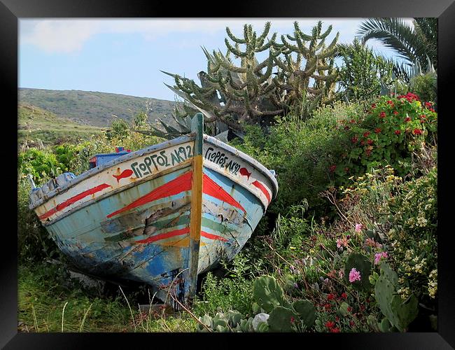 Colourful boat grounded, Greek Island Framed Print by DEE- Diana Cosford