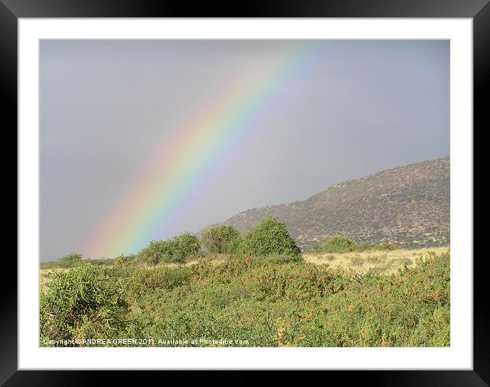 AFRICAN RAINBOW Framed Mounted Print by ANDREA GREEN