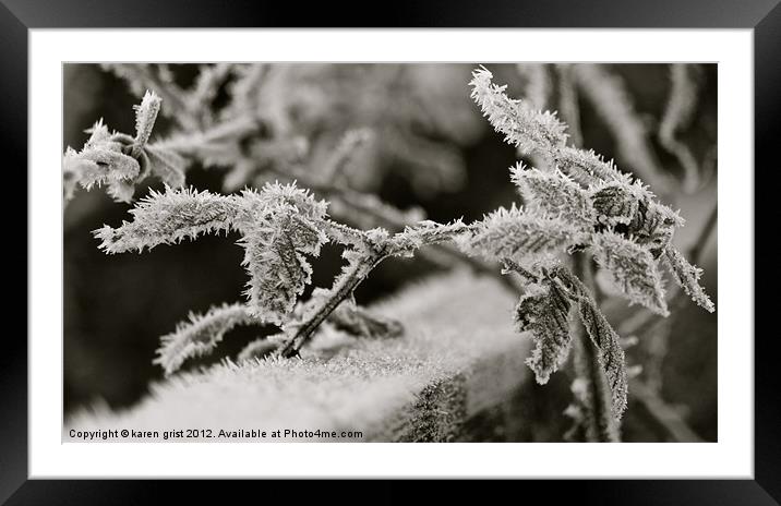 frozen bush Framed Mounted Print by karen grist