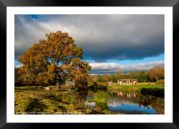 Autumn at The Queen Mother's Lake. Framed Mounted Print by Colin Metcalf