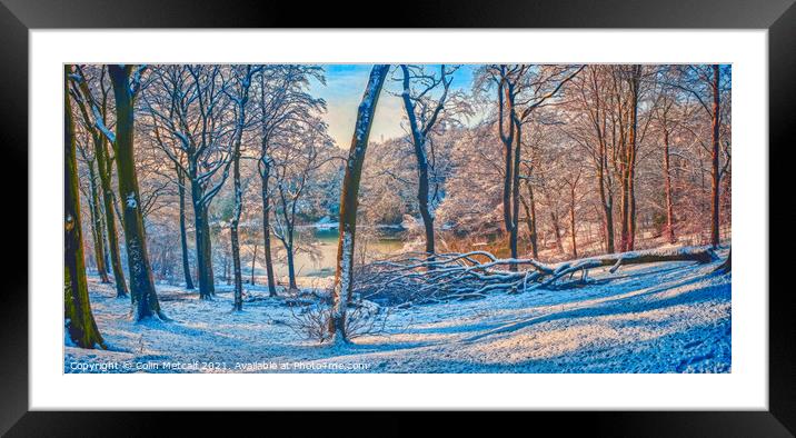 Early Light Framed Mounted Print by Colin Metcalf