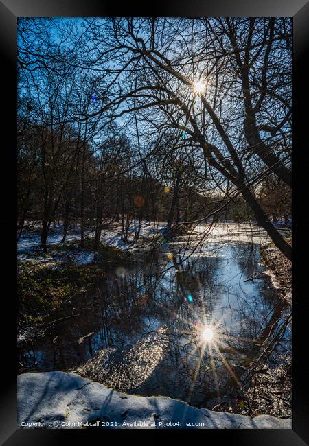Reflected Winter Sun Framed Print by Colin Metcalf