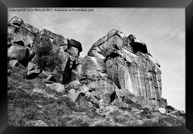 The Cow and Calf Rocks Framed Print by Colin Metcalf
