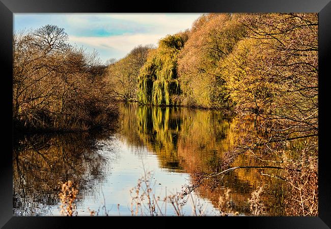 The River Aire at Kirkstall Framed Print by Colin Metcalf