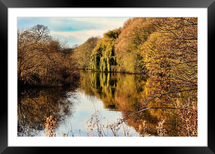 The River Aire at Kirkstall Framed Mounted Print by Colin Metcalf
