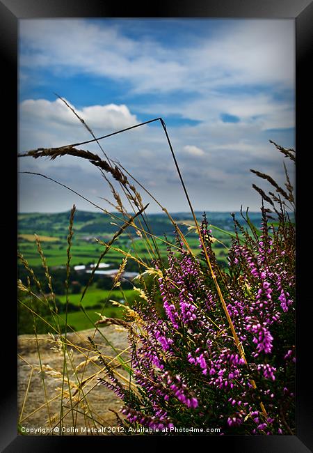 View from Otley Chevin #1 Framed Print by Colin Metcalf