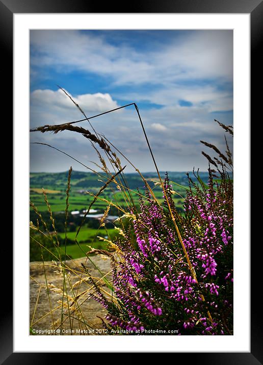 View from Otley Chevin #1 Framed Mounted Print by Colin Metcalf