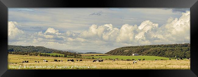 Rural Landscape Panorama Framed Print by Colin Metcalf