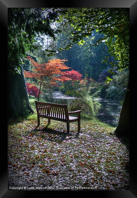 Meditation Seat Framed Print by Colin Metcalf