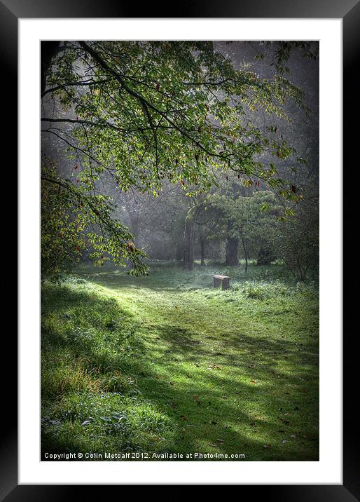 Misty Memories Framed Mounted Print by Colin Metcalf