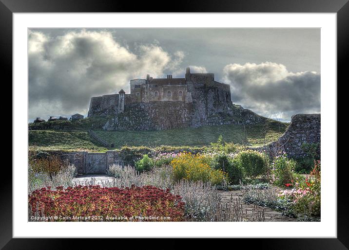Lindisfarne Castle (Holy Island) Framed Mounted Print by Colin Metcalf