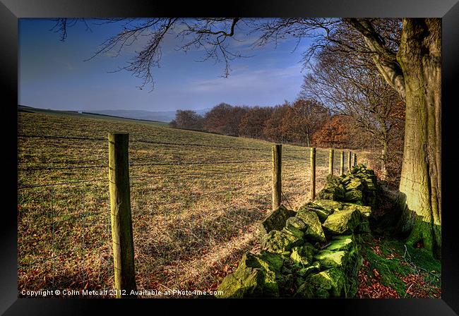 Chevin Dry Stone Wall #1 Framed Print by Colin Metcalf