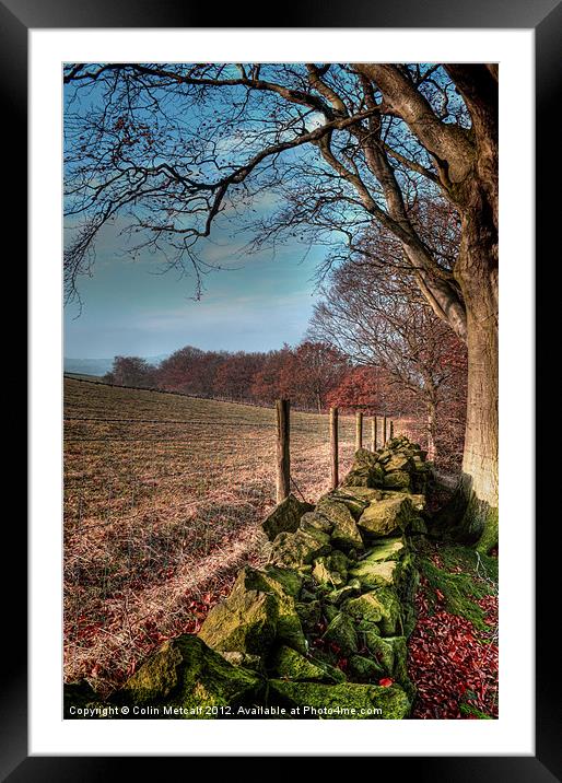 Chevin Dry Stone Wall #2 Framed Mounted Print by Colin Metcalf