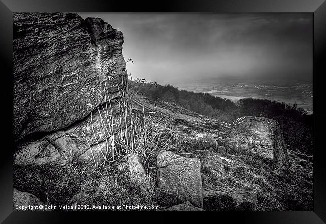 Chevin Surprise View Mono Framed Print by Colin Metcalf