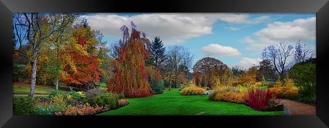 Autumn Panorama Framed Print by Colin Metcalf