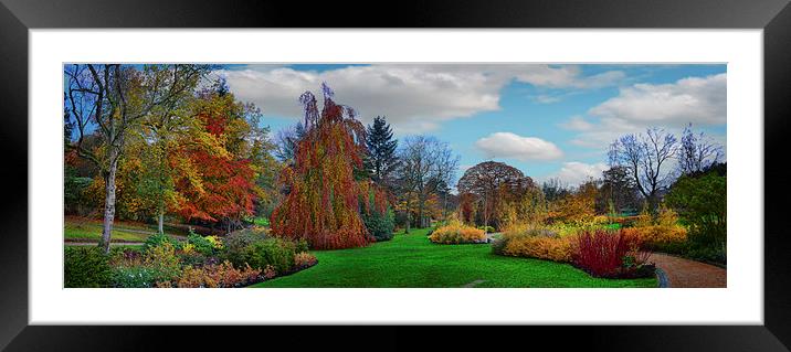Autumn Panorama Framed Mounted Print by Colin Metcalf