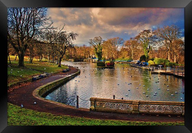 The Boating Lake Framed Print by Colin Metcalf