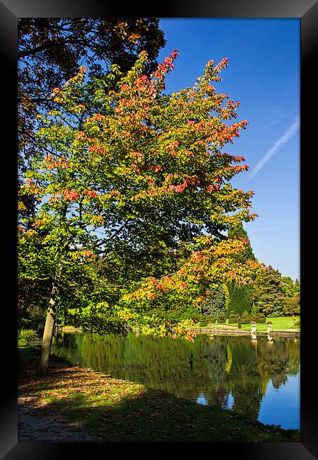  Thorp Perrow Autumn Framed Print by Colin Metcalf