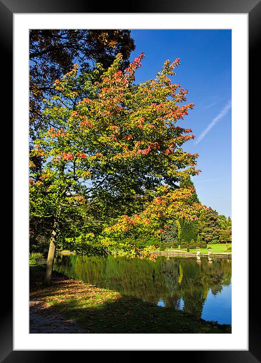  Thorp Perrow Autumn Framed Mounted Print by Colin Metcalf