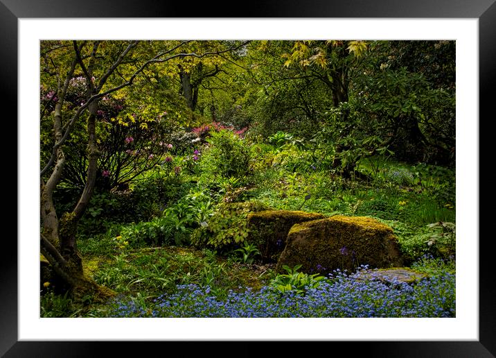 The Fairy Dell. Framed Mounted Print by Colin Metcalf
