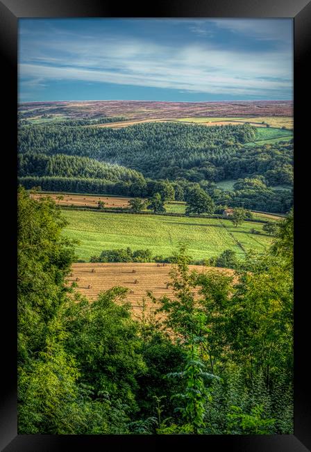 Surprise View Framed Print by Colin Metcalf