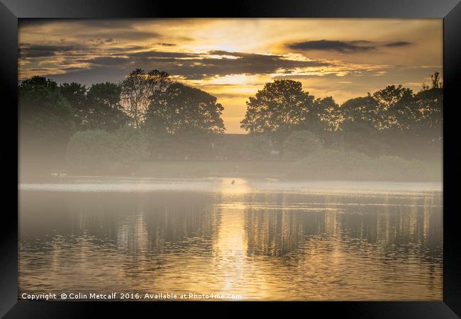 Misty Morn Framed Print by Colin Metcalf
