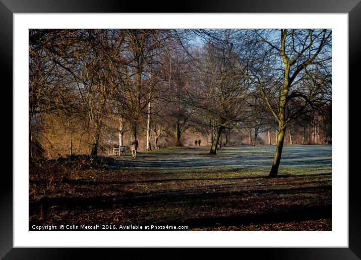 Winter Walk Framed Mounted Print by Colin Metcalf