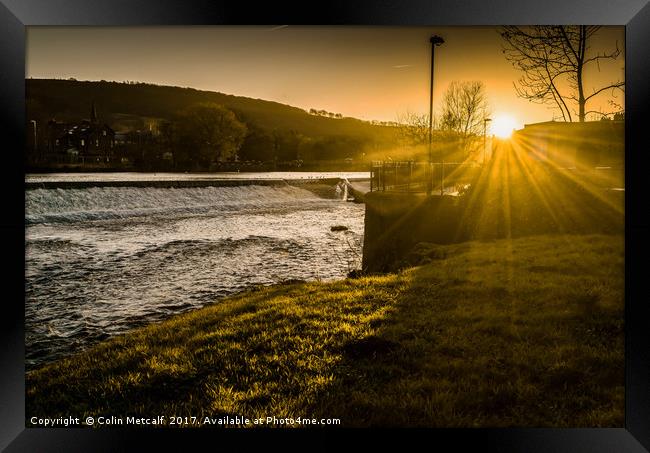 Late sun in Otley Framed Print by Colin Metcalf