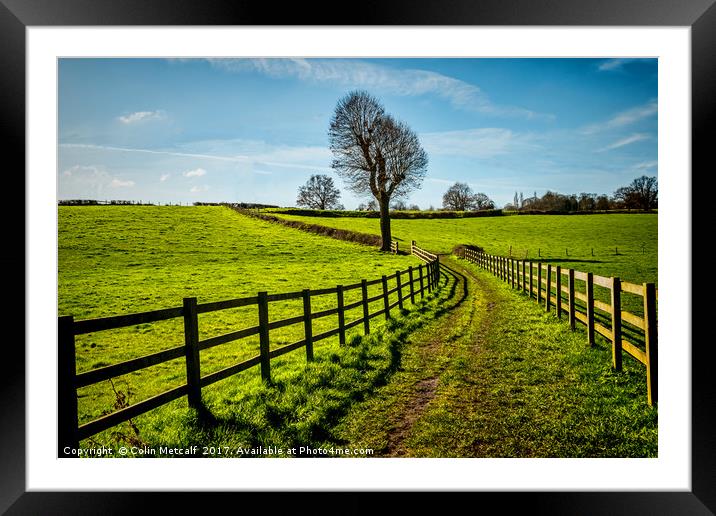 The Bridleway. Framed Mounted Print by Colin Metcalf