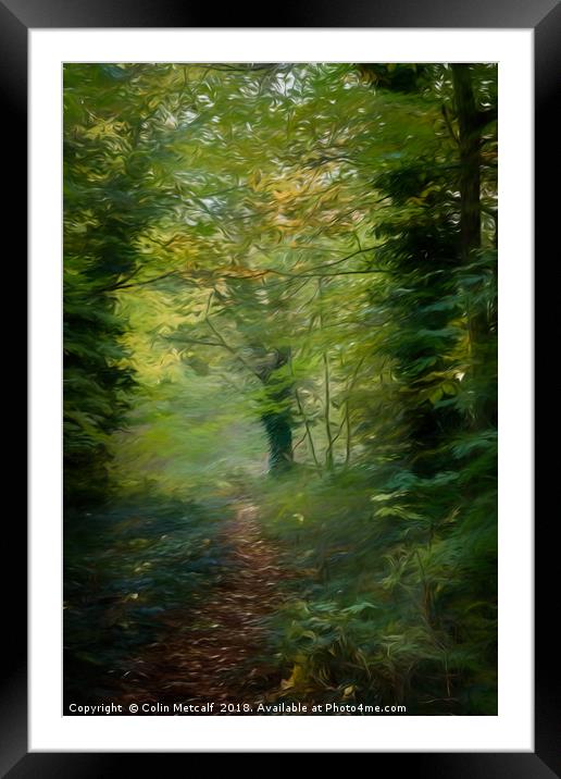Out of the Shadows Framed Mounted Print by Colin Metcalf