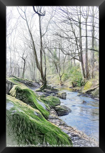 Woodland Stream Framed Print by Colin Metcalf