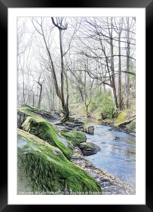 Woodland Stream Framed Mounted Print by Colin Metcalf