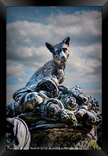 The Fox Sculpture Framed Print by Colin Metcalf