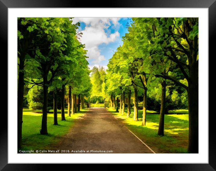 The Avenue Framed Mounted Print by Colin Metcalf