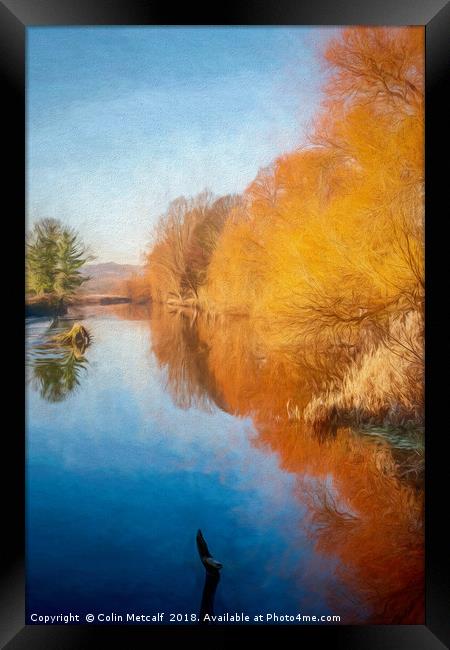 Winter Sun on the Aire Framed Print by Colin Metcalf
