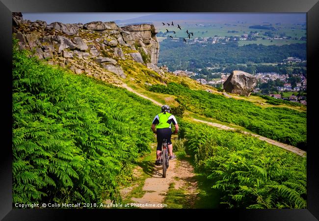 Thrilling Descent: Mountain Biking at Ilkley Moor Framed Print by Colin Metcalf