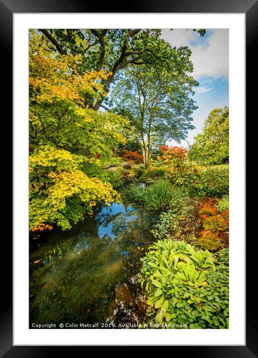 Streamside Framed Mounted Print by Colin Metcalf
