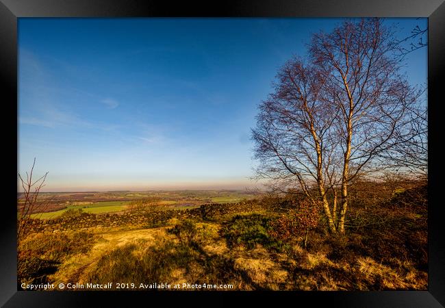 Surprise View Framed Print by Colin Metcalf