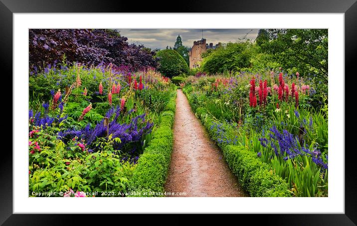 Summer Border Framed Mounted Print by Colin Metcalf