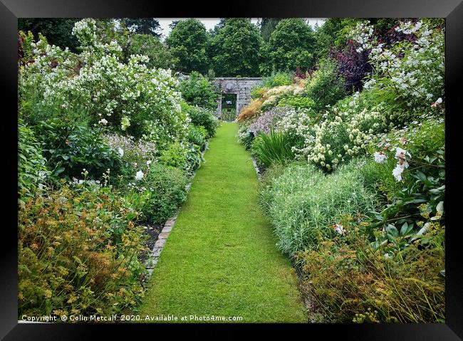 The White Border Framed Print by Colin Metcalf